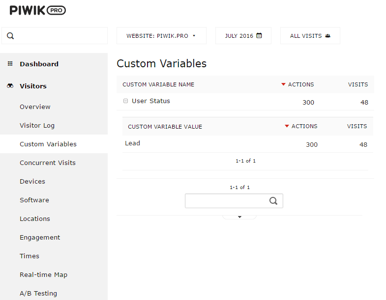 custom variables report custom variables report