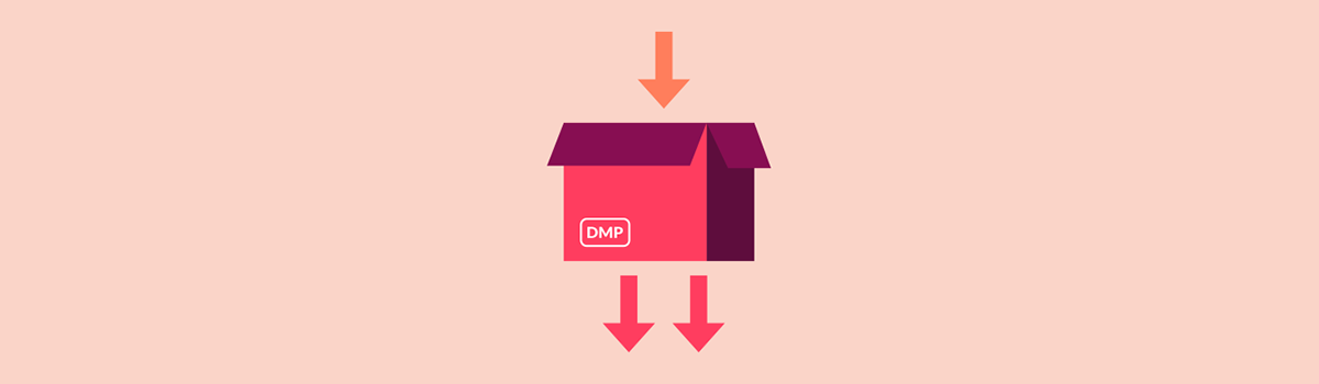 How Does Audience Segmentation in a DMP Work?