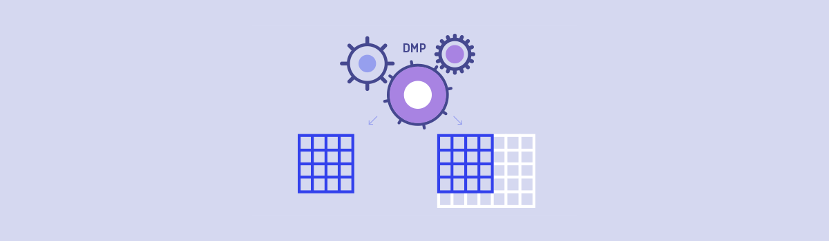 Segmentation Methods in a DMP: Live or Fixed?